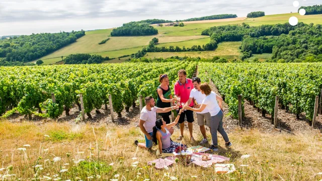 Picnic in the vineyards at the Portes de la Champagne