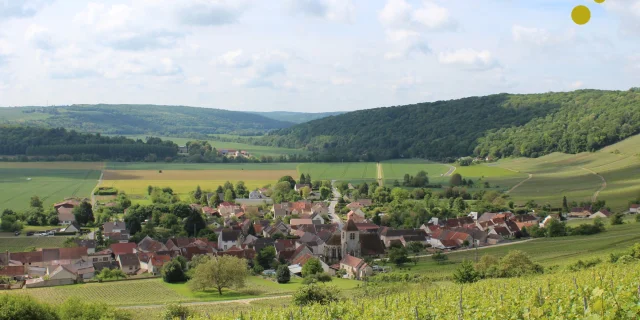 panorama-vignoble-vignes-portes-de-la-champagne