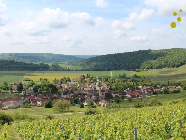 panorama-vignoble-vignes-portes-de-la-champagne