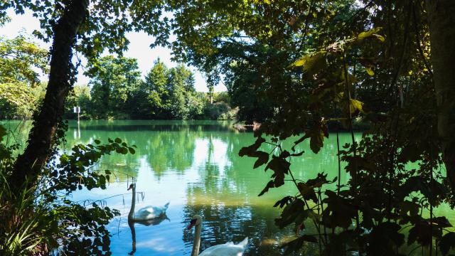 bords-marne-nature-portes-de-la-champagne