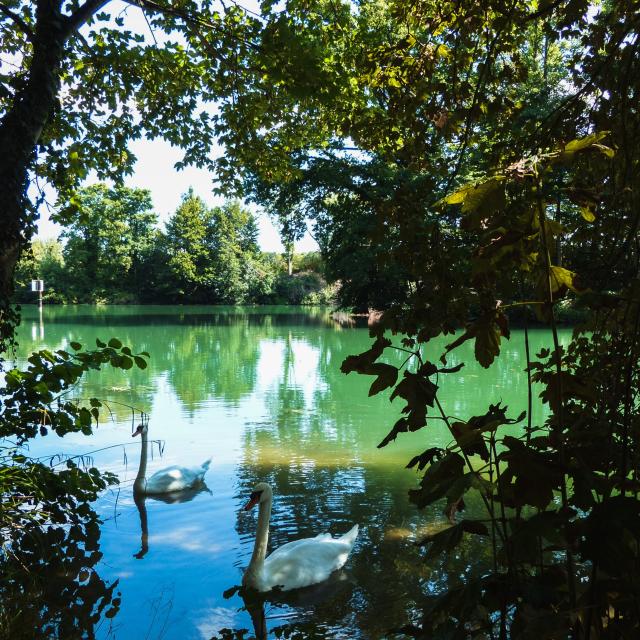 bords-marne-nature-portes-de-la-champagne