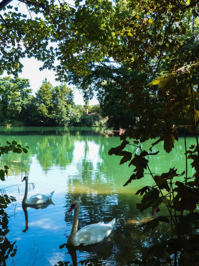 bords-marne-nature-portes-de-la-champagne