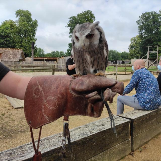 Educational presentation of the eagles on the castle in Château-Thierry