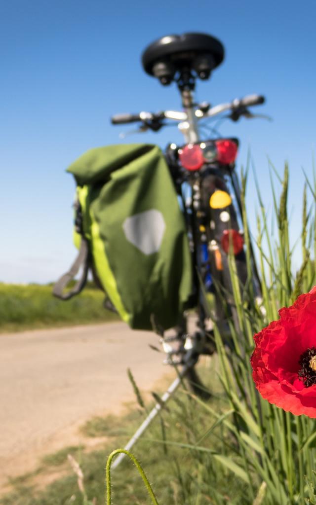 Pixabay-to-go-biking-g18df3c606_1920.jpg