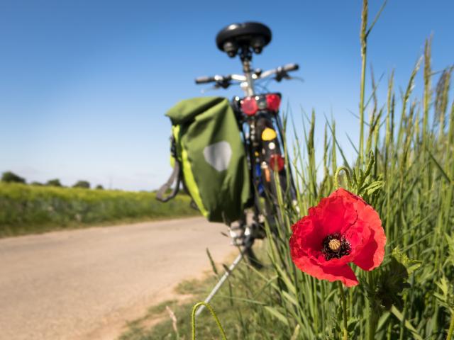 Pixabay To Go Biking G18df3c606 1920