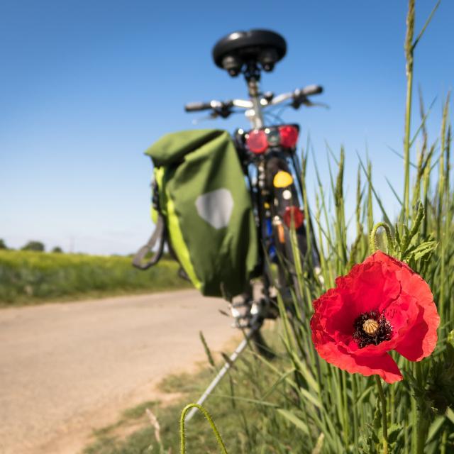 Pixabay To Go Biking G18df3c606 1920