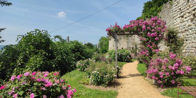 roseraie-thibaud-4-chateau-medieval-chateau-thierry