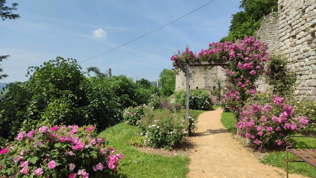 roseraie-thibaud-4-chateau-medieval-chateau-thierry