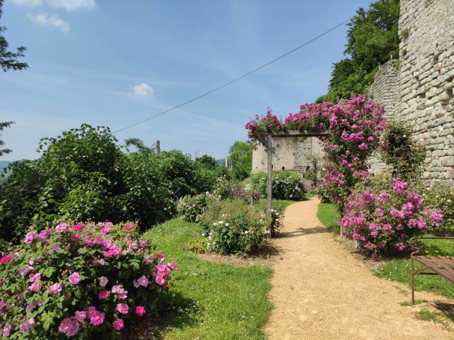 roseraie-thibaud-4-chateau-medieval-chateau-thierry