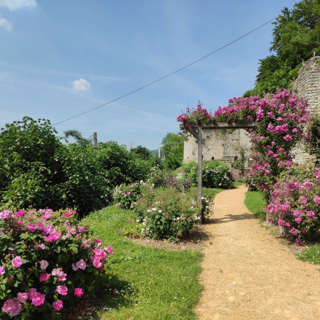 roseraie-thibaud-4-chateau-medieval-chateau-thierry