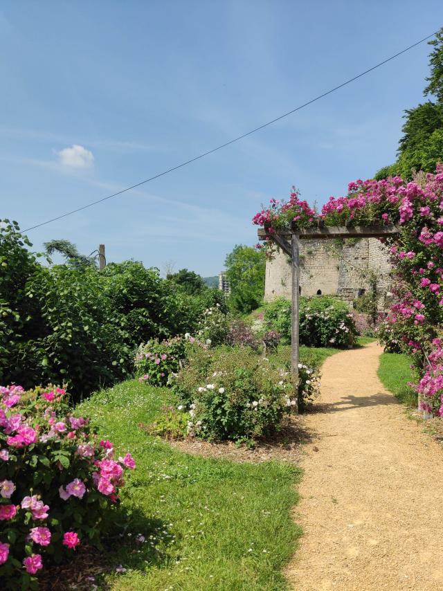 roseraie-thibaud-4-chateau-medieval-chateau-thierry