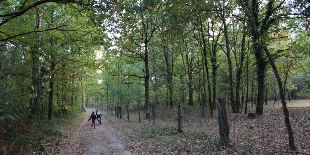 Parc des Bruyères in Fère-en-Tardenois