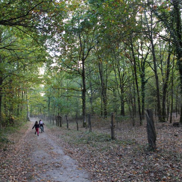 Parc des Bruyères in Fère-en-Tardenois