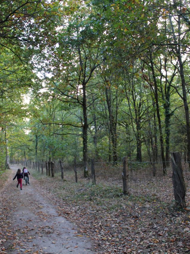 parc-des-bruyeres-peche-plan-d-eau-fere-en-tardenois