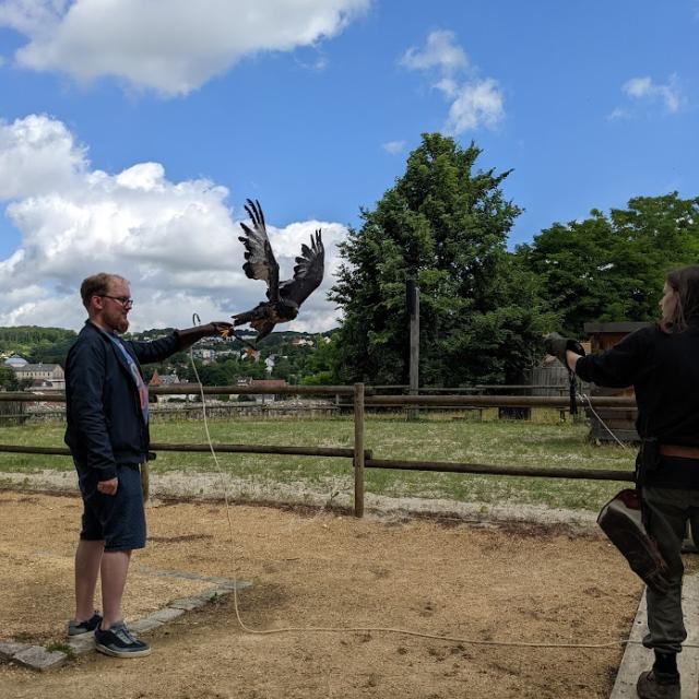 Falconer for a day at the medieval castle of Château-Thierry