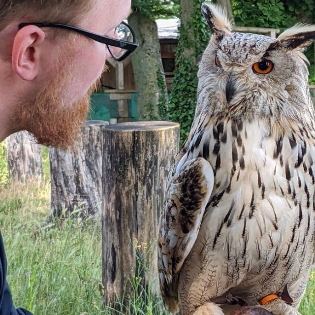 Falconer for a day at the medieval castle of Château-Thierry