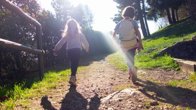 vecteezy_little-girls-on-a-hiking-trip-in-the-mountains_7805101_79.jpg