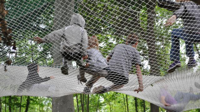 Nets in the trees at the medieval castle of Château-Thierry