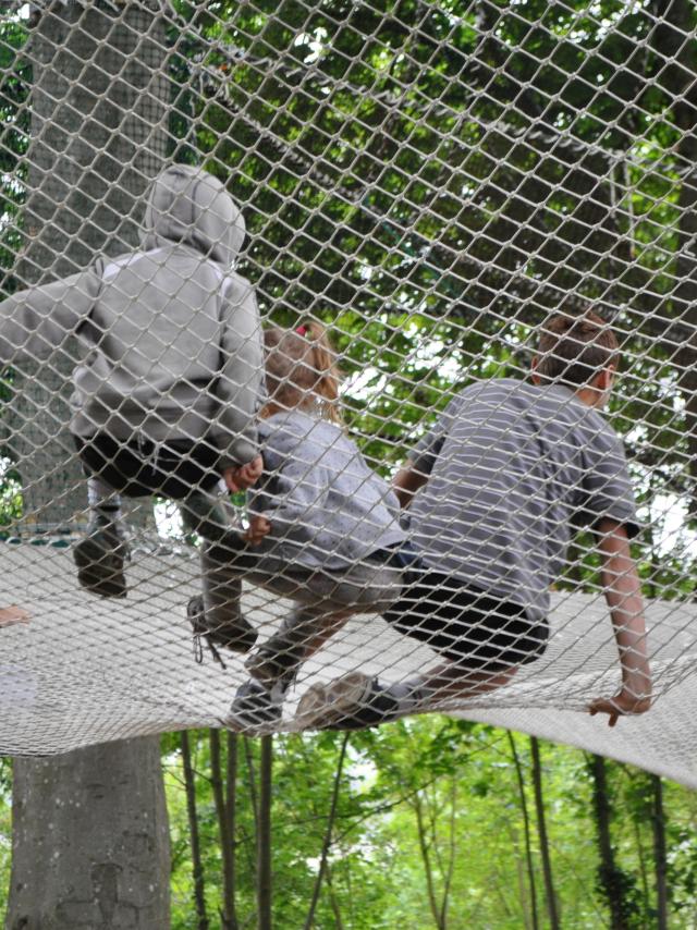 Nets in the trees at the medieval castle of Château-Thierry