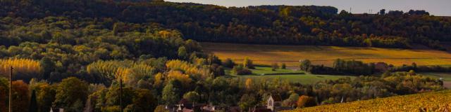 On the heights of Acorn