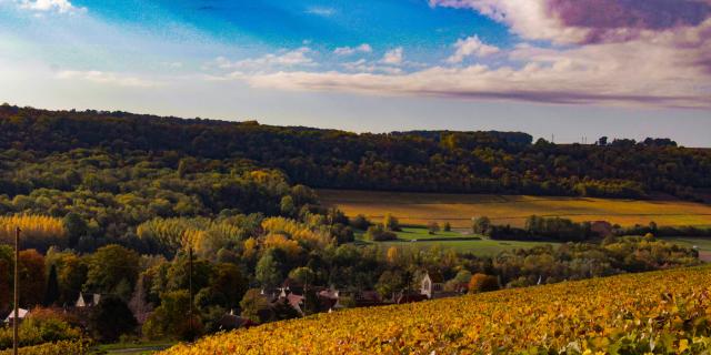 On the heights of Acorn