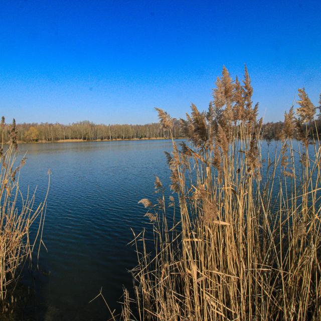 parc-bruyeres-fere-en-tardenois-eau-etang-portes-champagne