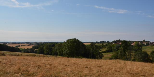 paysage-champs-culture-environnement-portes-champagne