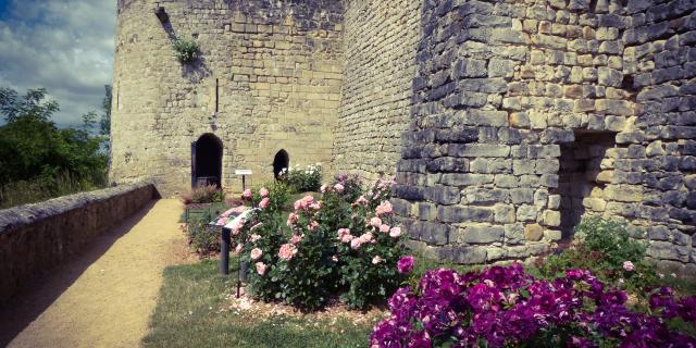 Medieval castle of Château-Thierry