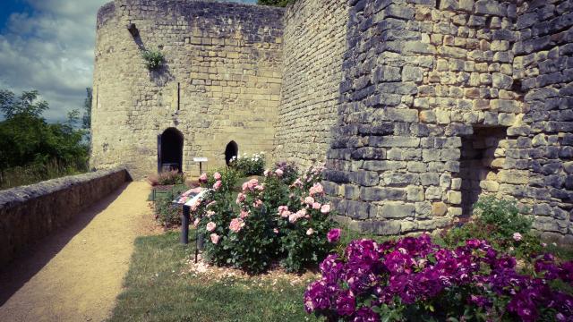 chateau-medieval-chateau-thierry