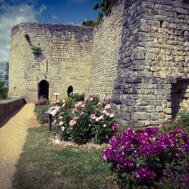 Medieval castle of Château-Thierry