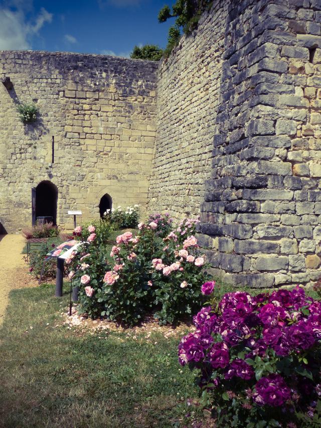 Medieval castle of Château-Thierry