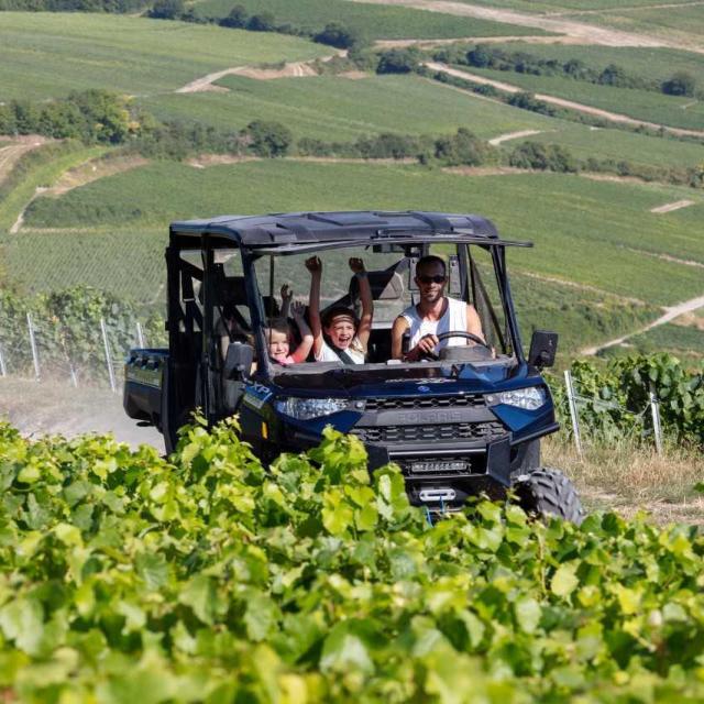 Buggy ride at Champagne Robillard