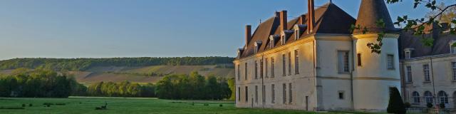 chateau-conde-en-brie-parc