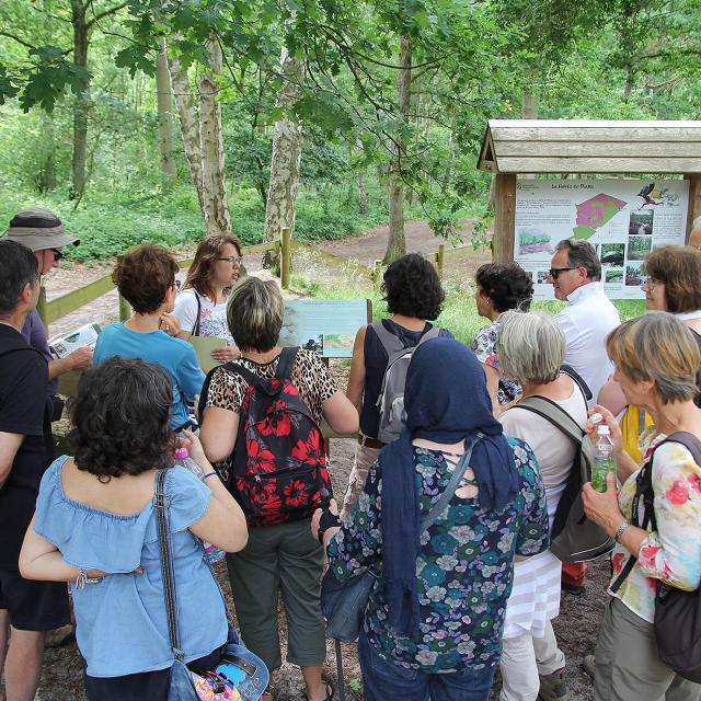 Guided tour in Villeneuve-sur-Fère