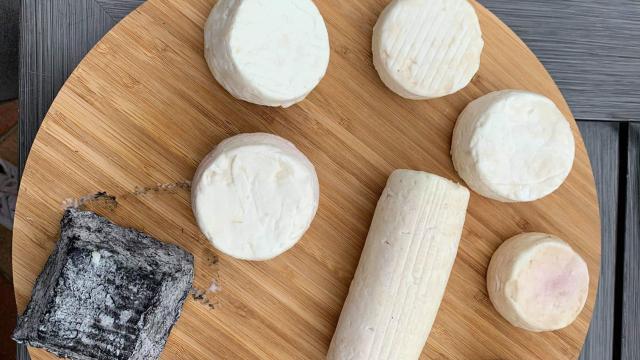 bique-biquette-fromage-chèvre-portes-champagne