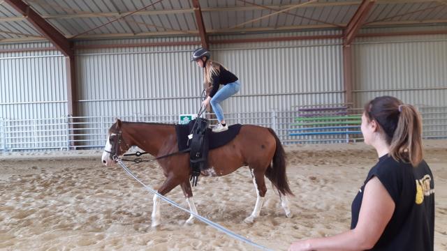 centre-equestre-emy- reining-horses-portes-champagne-epine-aux-bois