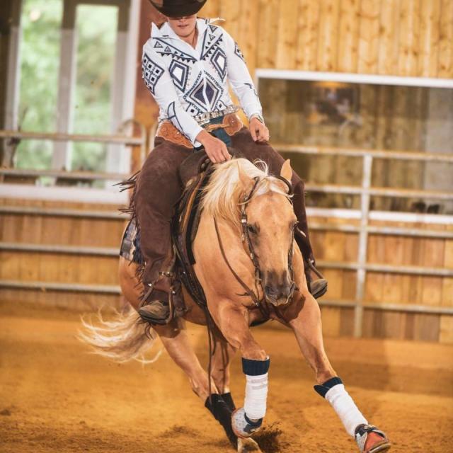 centre-equestre-emy- reining-horses-portes-champagne-epine-aux-bois