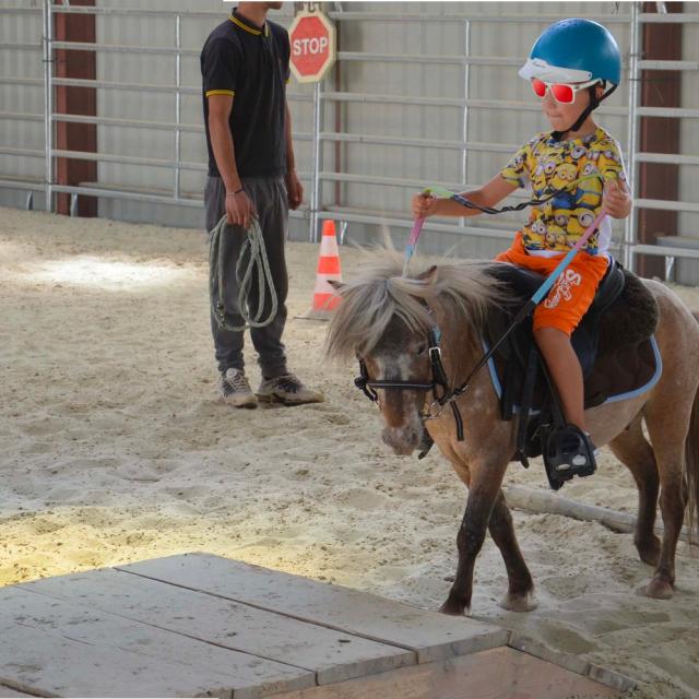 centre-equestre-emy- reining-horses-portes-champagne-epine-aux-bois