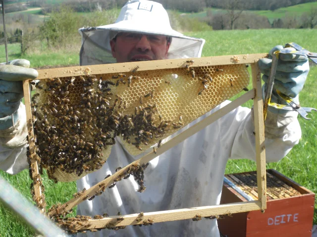 happyzabeille-epaux-bezu-portes-champagne-abeilles-miel-decouverte